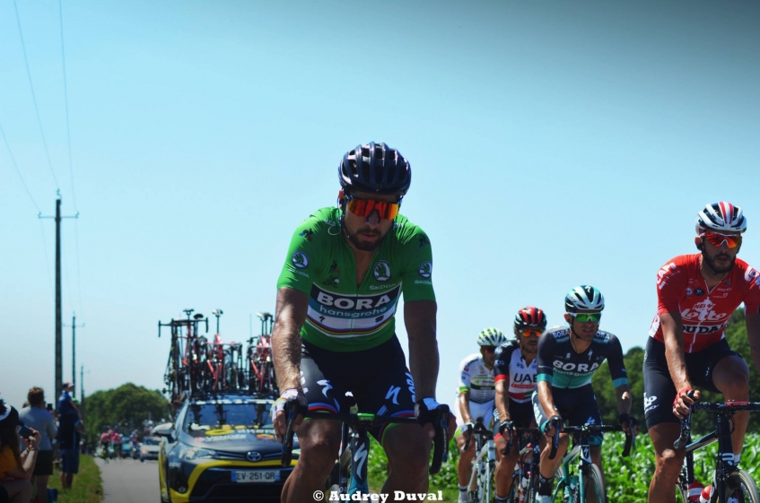 Tour de France : Peter Sagan "J'ai fait une erreur"