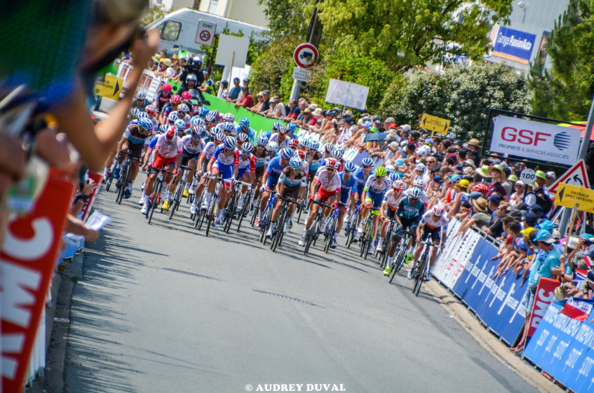 Championnat de France : la présentation détaillée