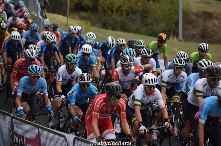 Flanders 2021 : les quotas par nation