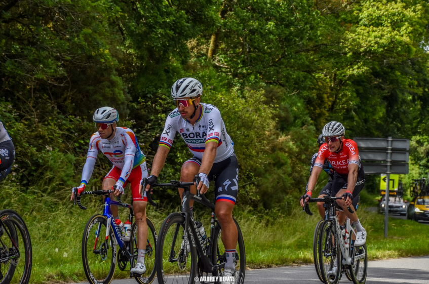 Mercato : Bora-hansgrohe confirme les départs de Peter Sagan et Pascal Ackermann