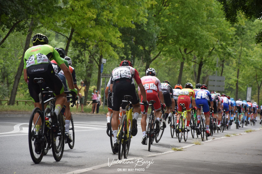 86° Egmont Cycling Race : la présentation détaillée