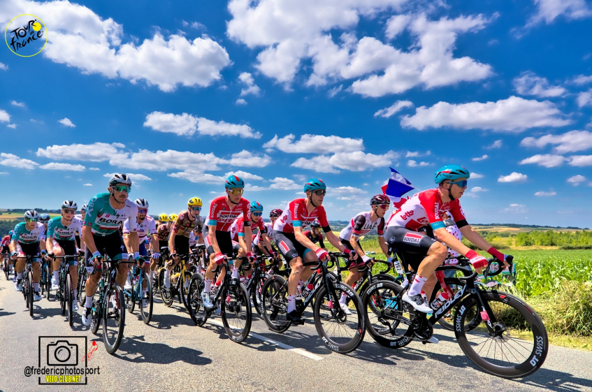 Calendrier de la semaine du 11 au 17 juillet