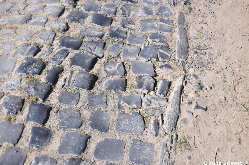 Paris-Roubaix : les favoris de la rédaction