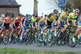 Antwerpse Havenpijl (1.2) - De Kleijn s'impose (complet)