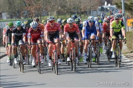 Cadel Evans Race : 16 équipes au départ l'an prochain