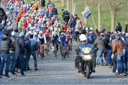 Het Nieuwsblad : les favoris de la rédaction