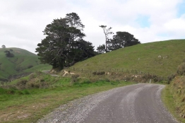 Gravel and Tar : la présentation détaillée