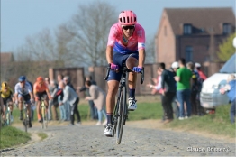 Top/Flop : Bettiol et Van der Poel au top, Sagan de nouveau décevant