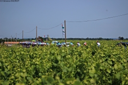 Retrouvez en podcast toutes les émissions des Commissaires de Course