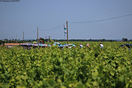 Tour du Limousin : présentation de la 4ème étape