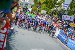 Championnat de France : la présentation détaillée