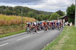 Tour de France : le Top/Flop de la 1ère semaine