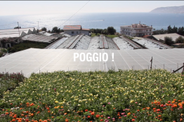 Poggio, le nouveau documentaire de La Bordure