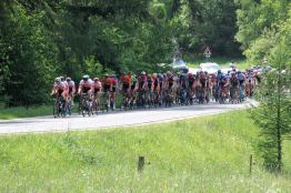 Le Triptyque Ardennais repoussé fin août