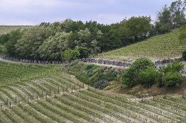 Tour d’Italie : présentation de la 9ème étape