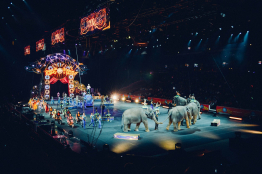 Édito : le retour des Jeux du Cirque ?