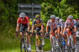 Tour de France : Robert Gesink abandonne