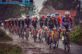 Paris-Roubaix : la vidéo du succès de Colbrelli