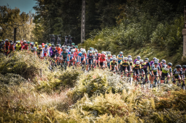 49° Tour de Vendée : la présentation détaillée