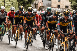 Le Tour de France pour Roglic et Vingegaard, le Giro pour Foss et Dumoulin