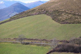 L’Essor Basque ouvre la saison amateur