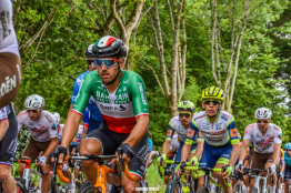 Classement UCI : Pogacar leader, Colbrelli 5ème