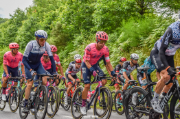 Tour de Romandie : Rigoberto Uran ne prendra pas le départ de la 2ème étape