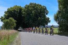 New Zealand Cycle Classic : le parcours et les étapes de l'édition 2023