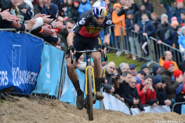 Cyclo-Cross - Zonhoven - Wout Van Aert impérial
