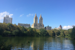 Une nouvelle course d'un jour organisée à New York en 2024