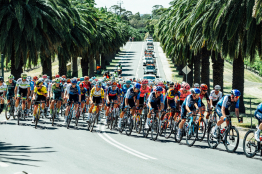 Tour Down Under, des bonifications pour Louis Barré, et le maillot de meilleur grimpeur
